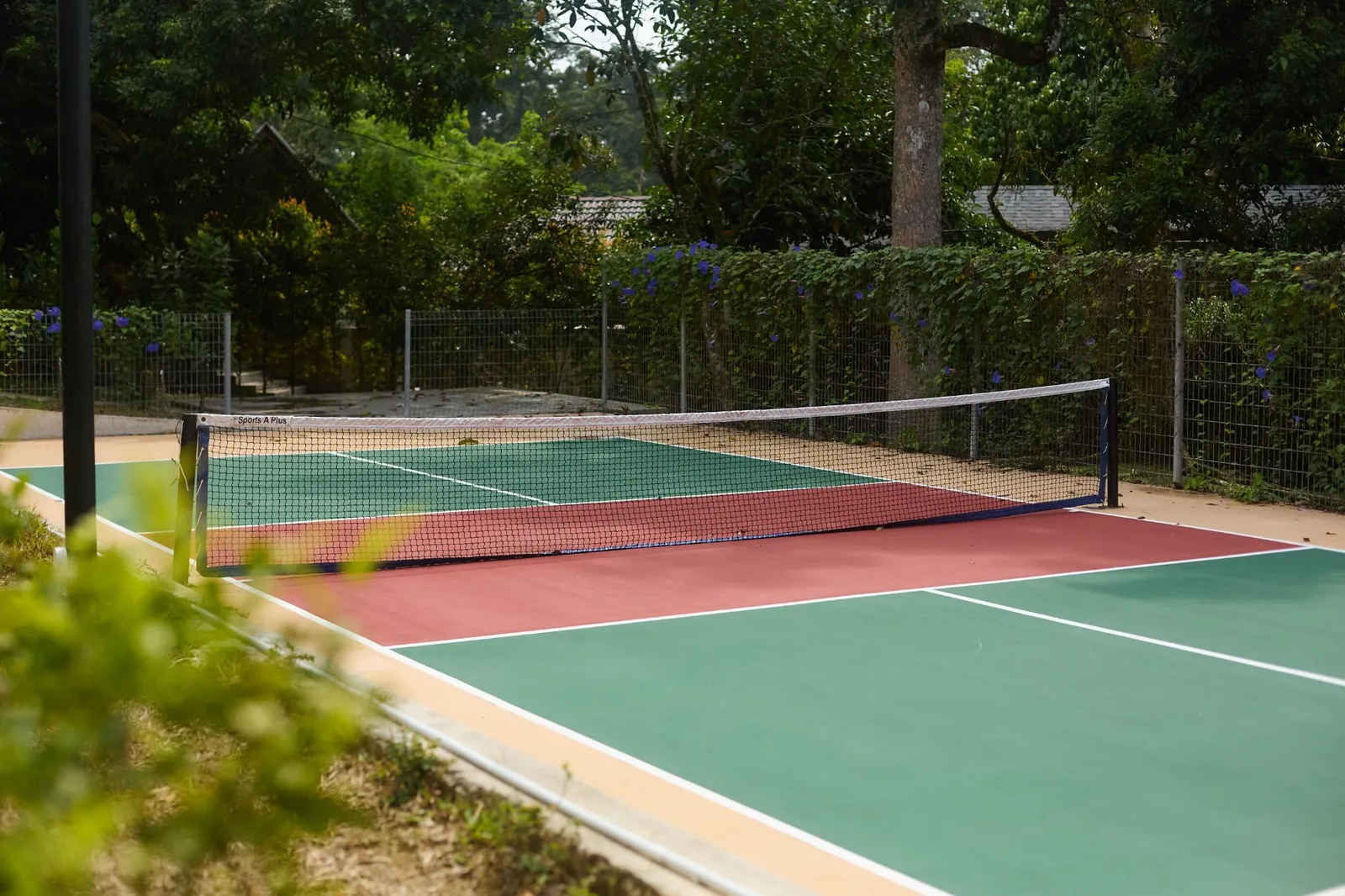 Pickleball court with net, surrounded by trees
